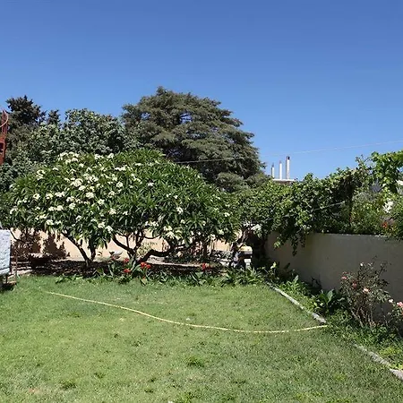 Pandora Di Natura *