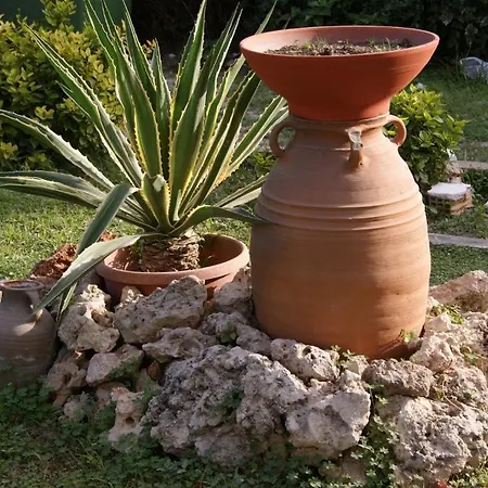 Pandora Di Natura * Ialysos (Rhodes)