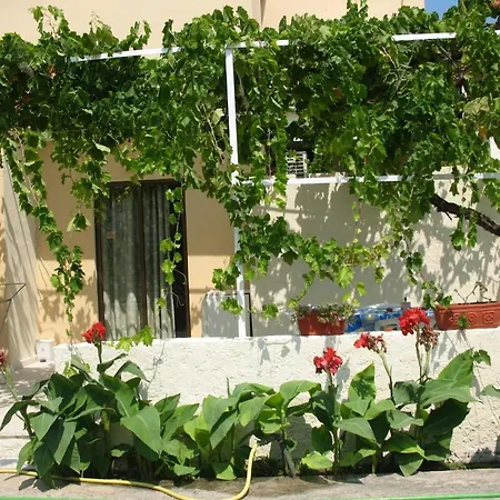 Pandora Di Natura