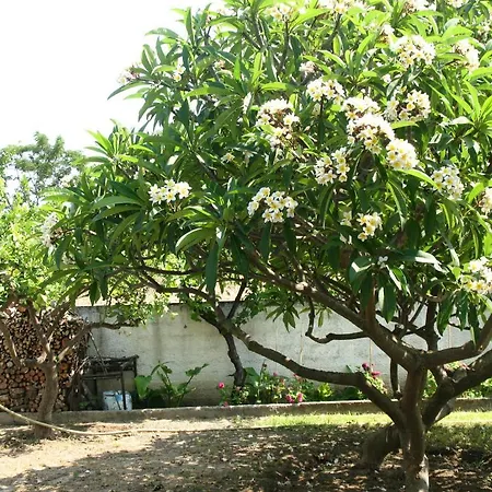 Pandora Di Natura Apartmán Ialysos (Rhodes)