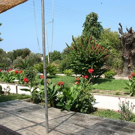 Pandora Di Natura