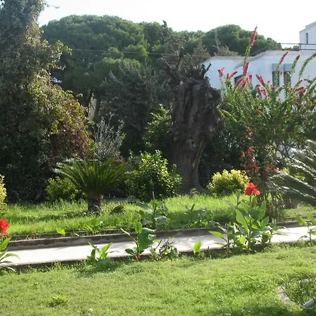 Pandora Di Natura Ialysos (Rhodes)