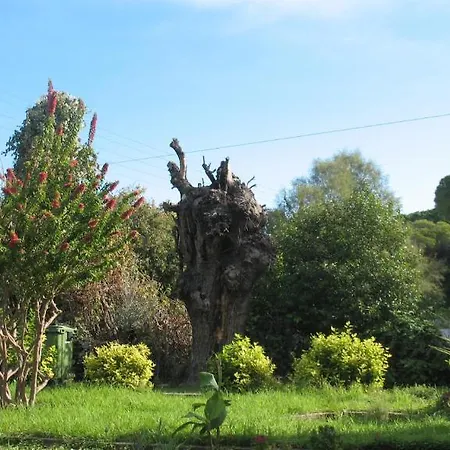 Apartamento Pandora Di Natura *