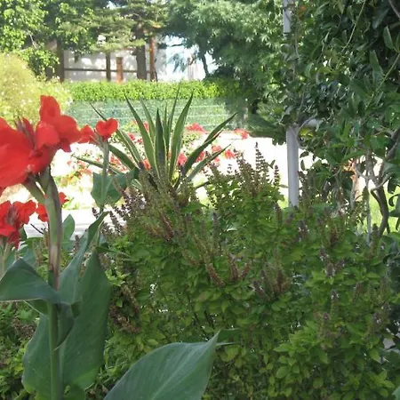 Pandora Di Natura