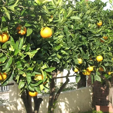 Apartamento Pandora Di Natura *